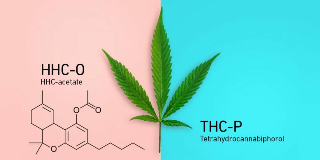 hhc-o vs thc-p