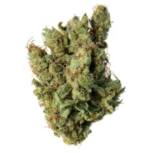 THCP Buds 5g