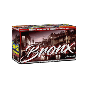 Bronx Svea Fireworks