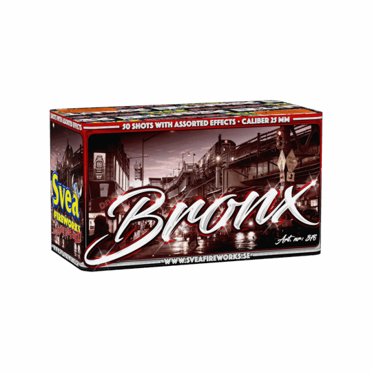 Bronx Svea Fireworks