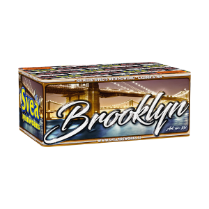 Brooklyn Svea Fireworks