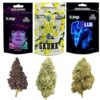 CBD Buds Non Apire