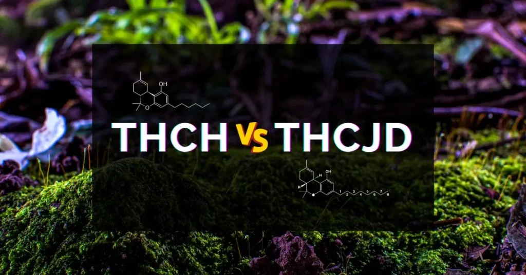 THCh vs THCjd: Fördelar, Risker och Biverkningar 29 THCh vs THCjd-produkter