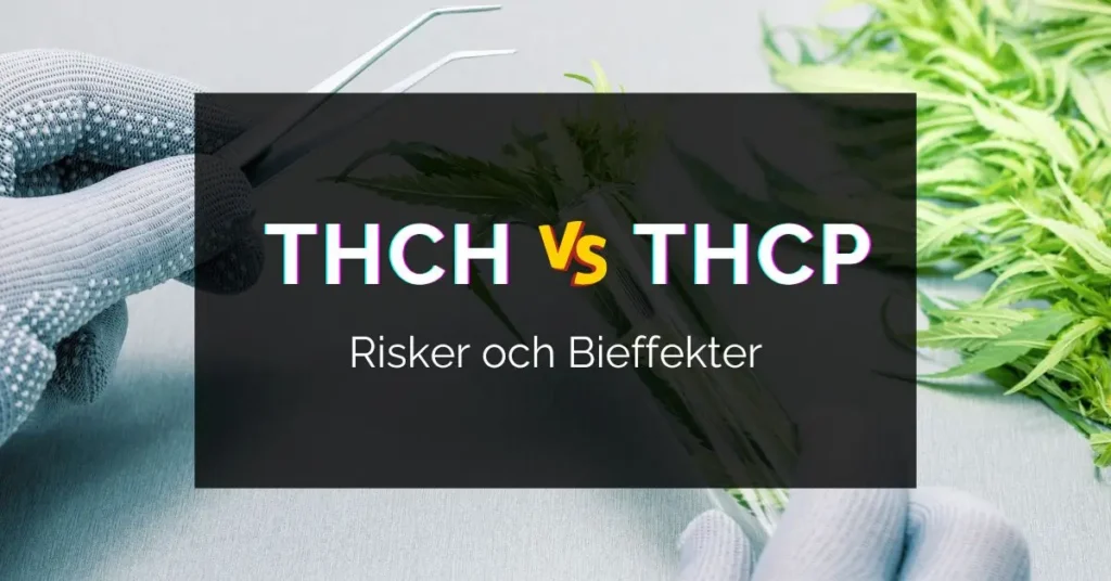 THCH vs THCP: Jämförelse av Effekter, Skillnader och Risker 13 thch thcp bieffekter
