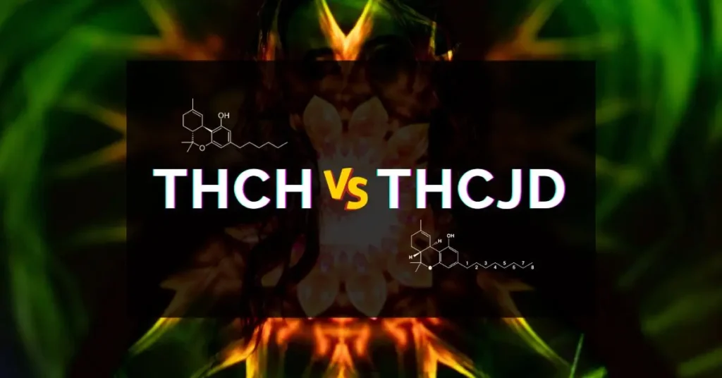 THCh vs THCjd Sverige