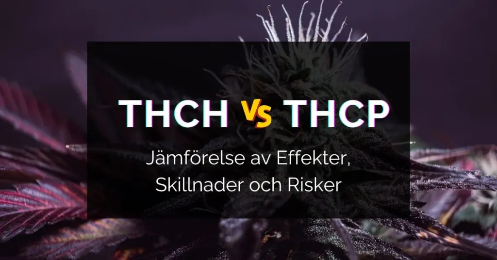 thch vs thcp sverige