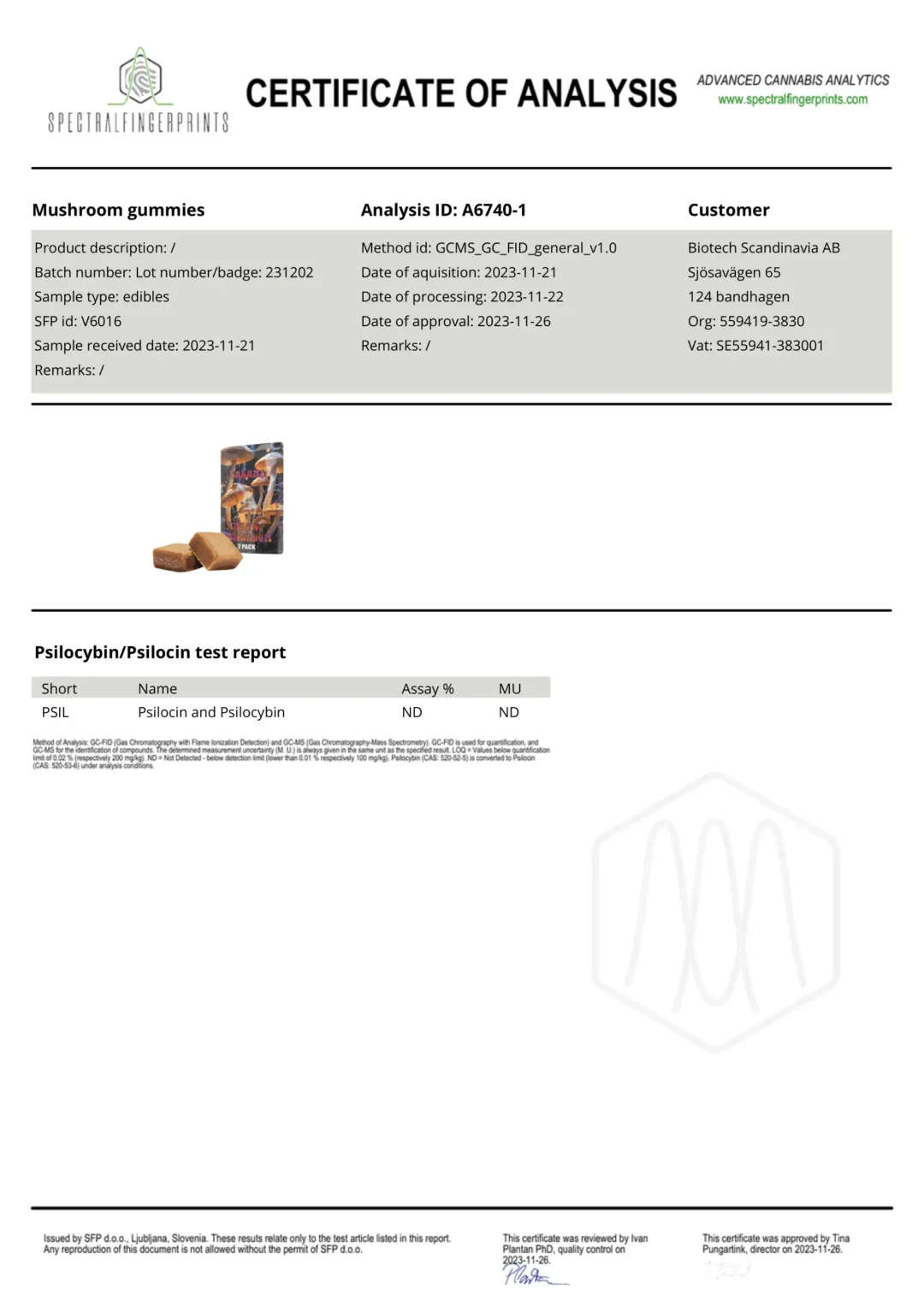 hero magic mushroom labtest caramel fudge
