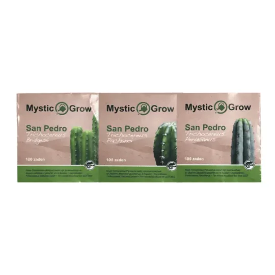 san pedro seeds
