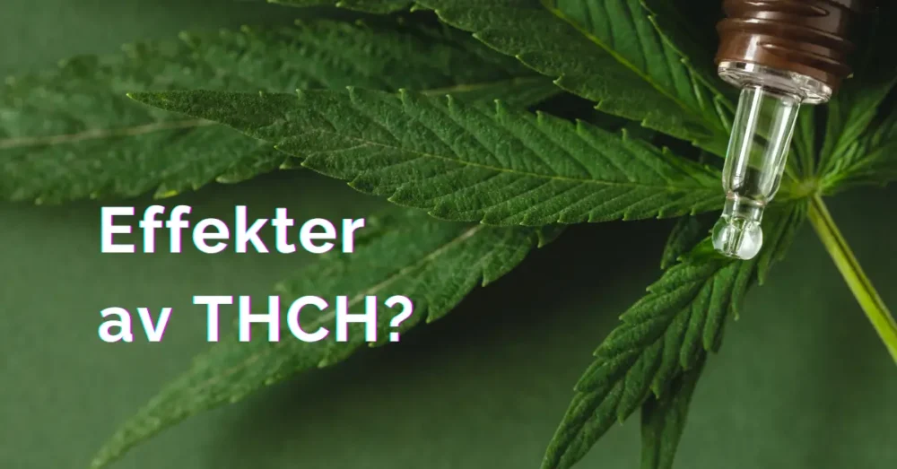 THCH och THCJD i Sverige: Allt du behöver veta 2025 13 Effekter av THCH och THCJD?