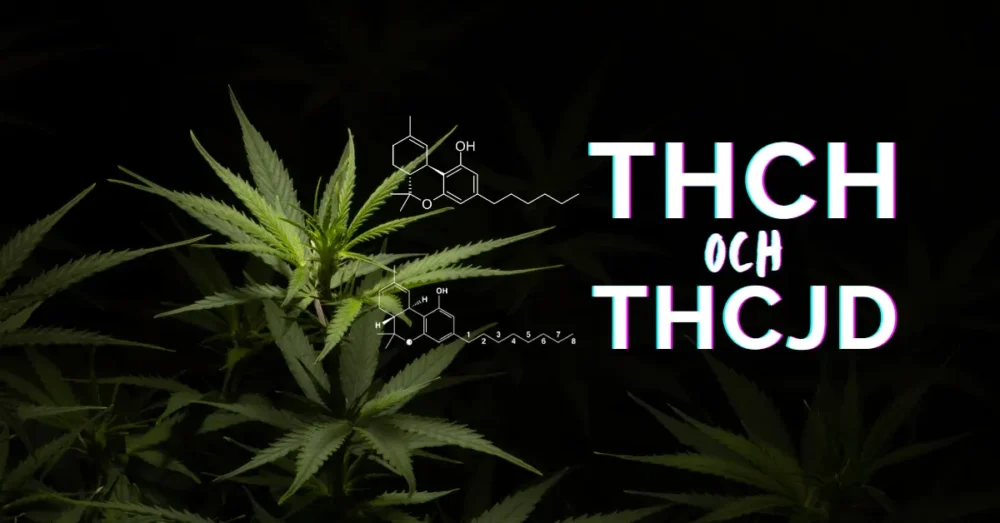 thch och thcjd sverige