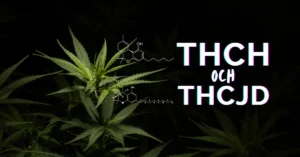 thch och thcjd sverige