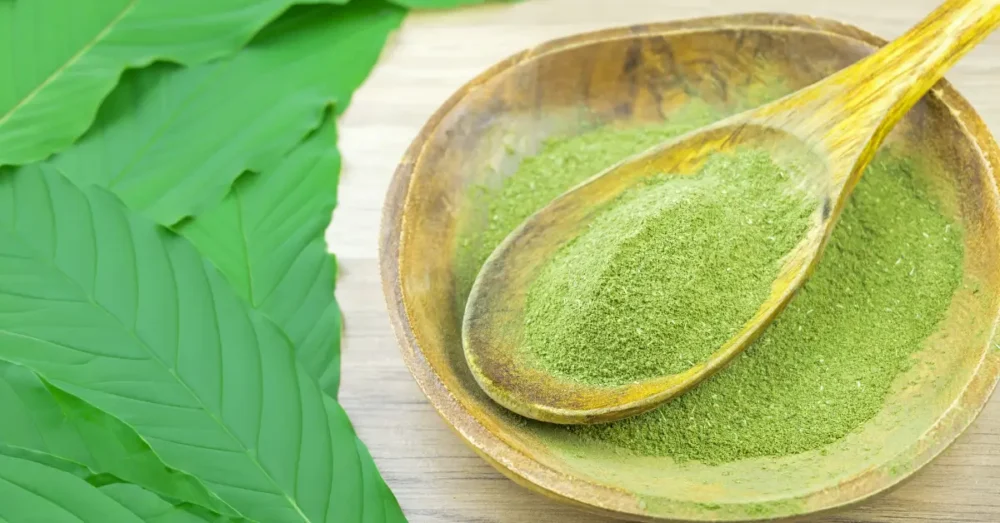 Vad är Kratom? Effekt, Dosering, Biverkningar, Legalitet 2 Vad är kratom