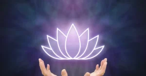Är Blå Lotus Lagligt i Sverige? Effekter och Dosering 13 Blå Lotus: Farligt eller Säkert?