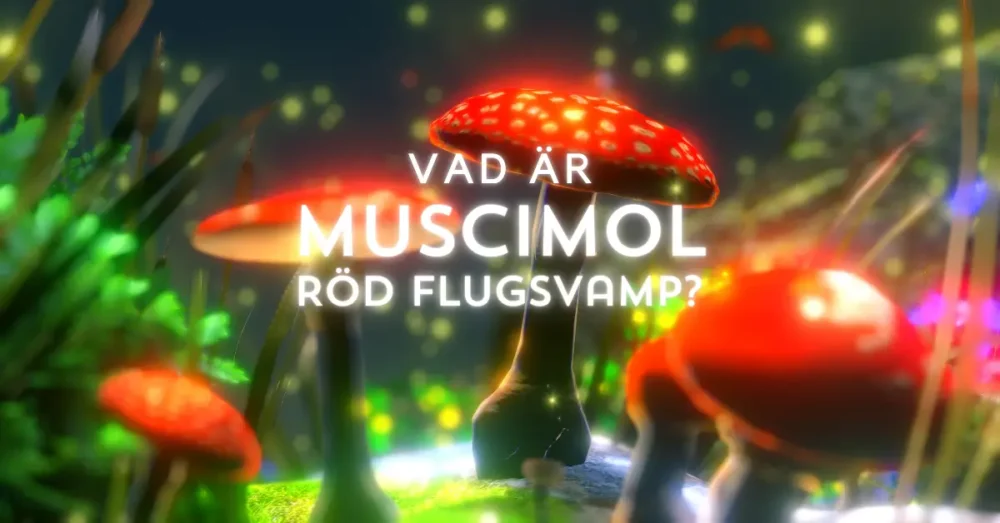 muscimol