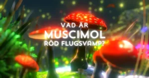 muscimol
