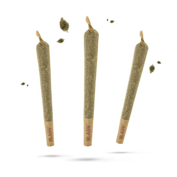 cbd pre rolled