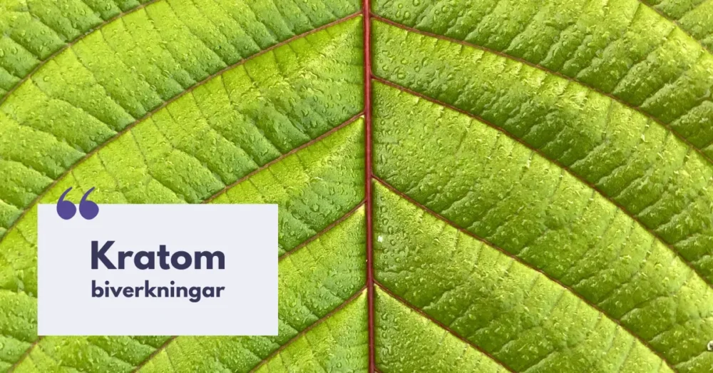 Kratom Effekt - Hälsosam Användning av Kratomtvål 2 kratom biverkningar