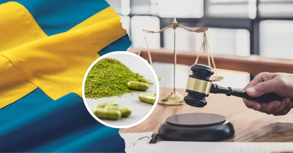 Kratom i Sverige - Störst utbud av kratompulver 15 Är kratom lagligt i Sverige