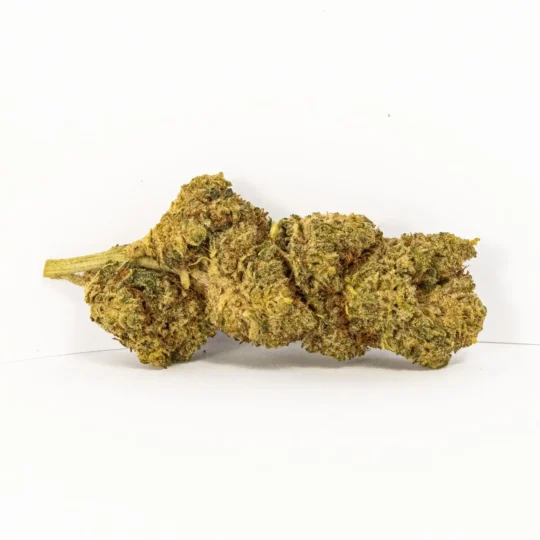 High Life Buds