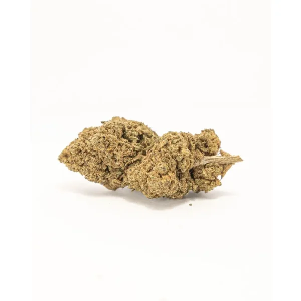 Harlequin CBD Buds - Bild 2