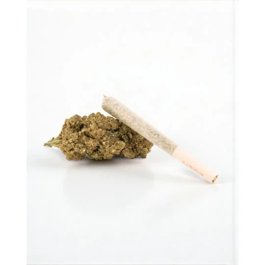 Preroll Black Widow: 20% THCA + 10% THCNM